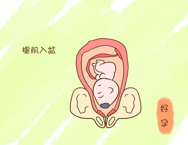 单胎妊娠是什么意思_多胎妊娠_多胎妊娠减胎注意事项