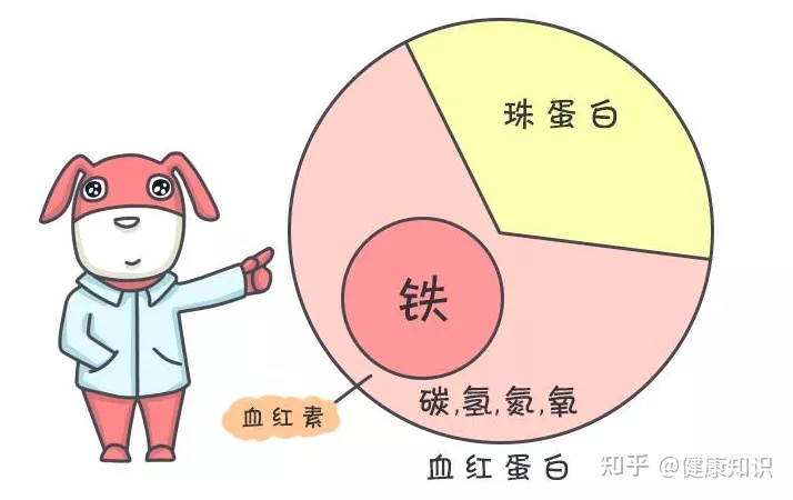 地中海贫血