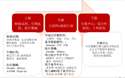 辅助生殖