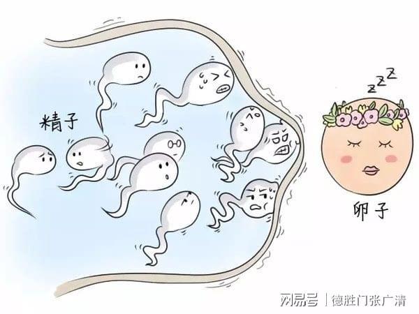 梦见自己生两对双胞胎_梦见生两对双胞胎_怎么生双胞胎