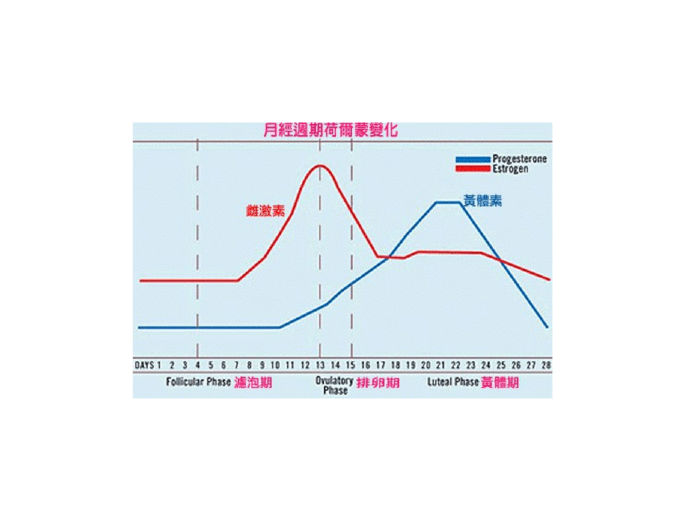 黄体期_卵泡期黄体生成素偏低_卵泡期促黄体生成素