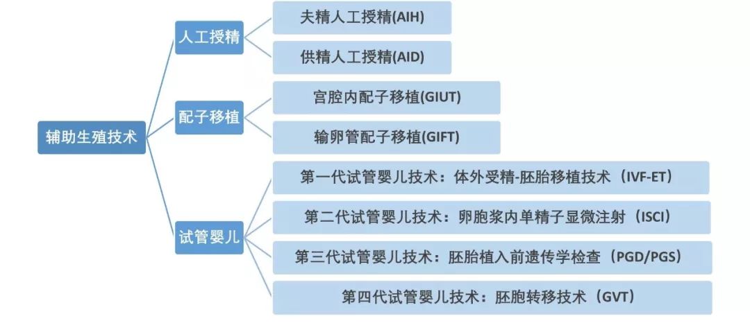 辅助生殖