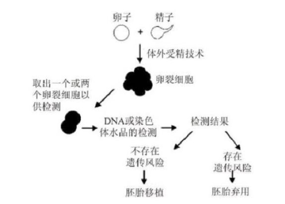 辅助生殖