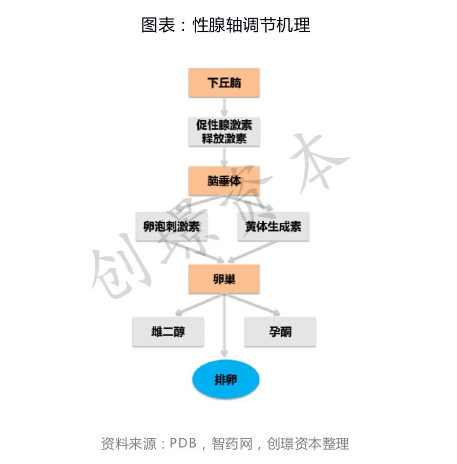 辅助生殖