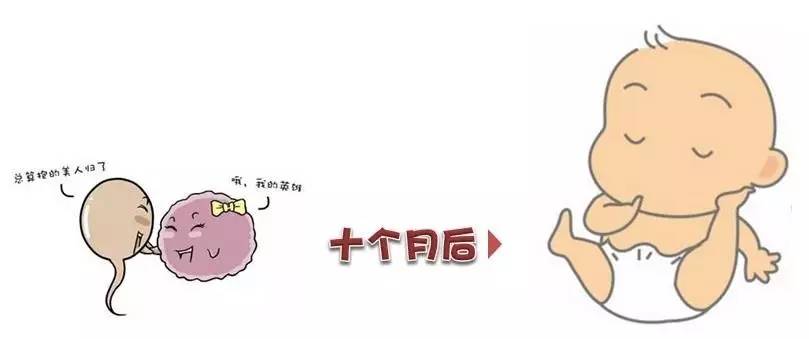 妊娠足月胎停的原因_多胎妊娠减胎术_多胎妊娠