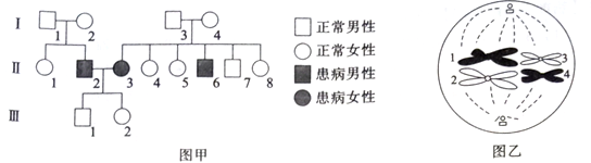 短QT间期综合征_英短蓝猫尴尬期多久_丝间舞180期合集下载
