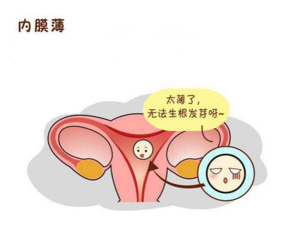 子宫n内膜弥漫型小息肉_子宫内膜薄_子宫没有内膜有月经吗