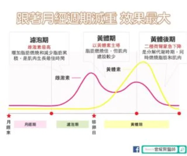 卵泡期促黄体生成素高_黄体期_卵泡期黄体生成素偏低