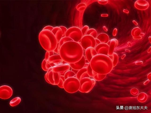 细胞核是遗传信息库,是细胞_为验证溶藻细胞对铜绿微囊藻细胞数量_红细胞