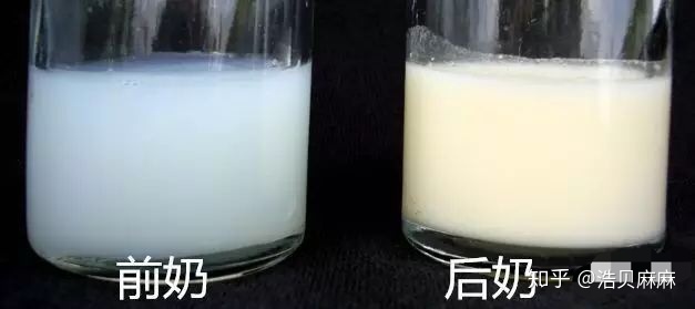 奶水稀_奶水少吃什么奶水会多_奶水吧女儿的奶水