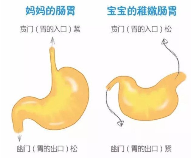 新生儿吐奶