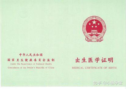 出生证明办理