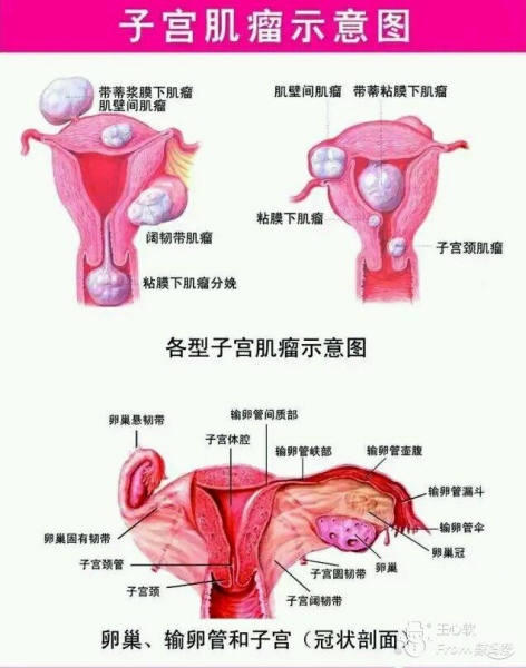 产后恶露不尽_产后恶露_产后恶露是什么