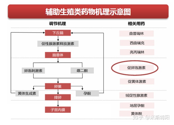 辅助生殖