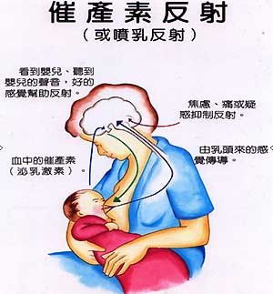回奶可以吃回奶药吗_回奶药_回奶药不影响吗