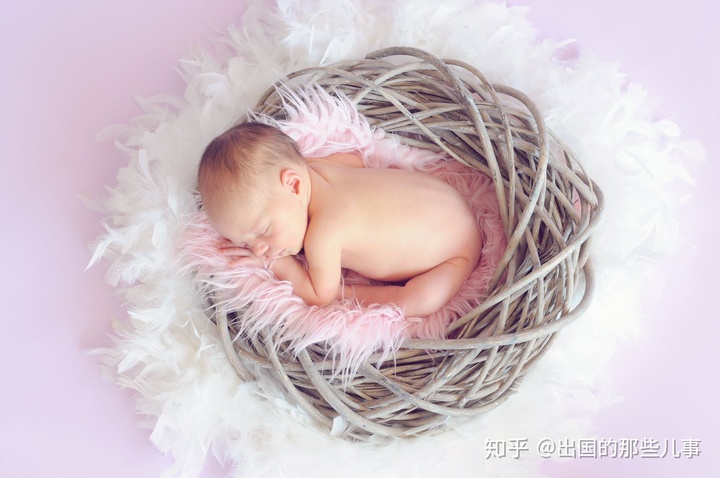 出生证明办理
