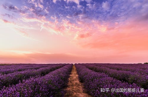 出生证明办理