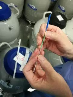 辅助生殖