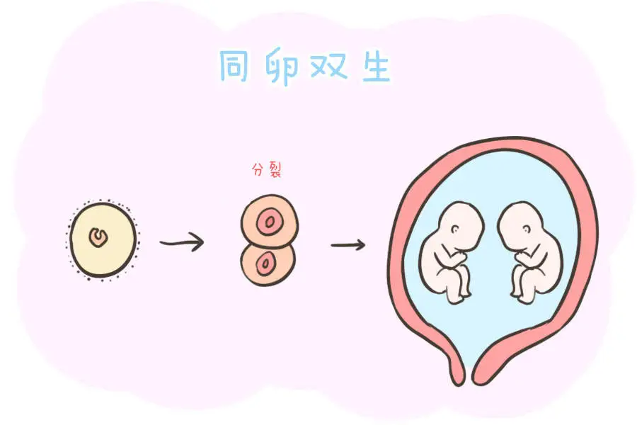 辅助生殖_辅助生殖便宜的医院_辅助生殖哪个便宜