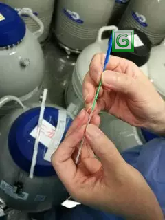 辅助生殖