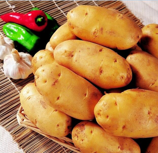 孕妇吃土豆对胎儿好吗_孕妇可以吃干吃奶片糖_孕妇可以吃土豆吗