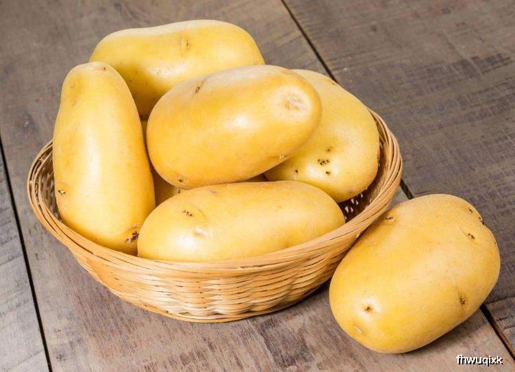 孕妇可以吃土豆吗_孕妇吃提子可以吃皮吗_孕妇可以吃枸杞吃