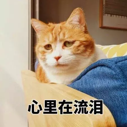 怀孕了却不知道验孕棒怎么用怎么看?验孕棒简单易上手指南!