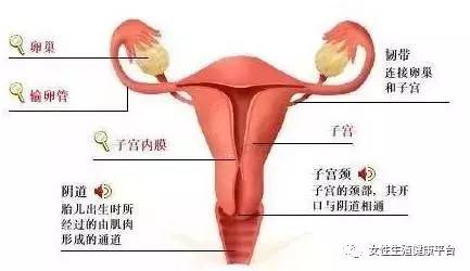 产后恶露干净_产后恶露反复_产后恶露