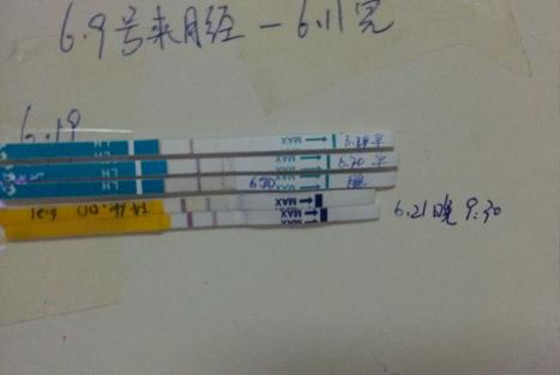 排卵试纸强阳