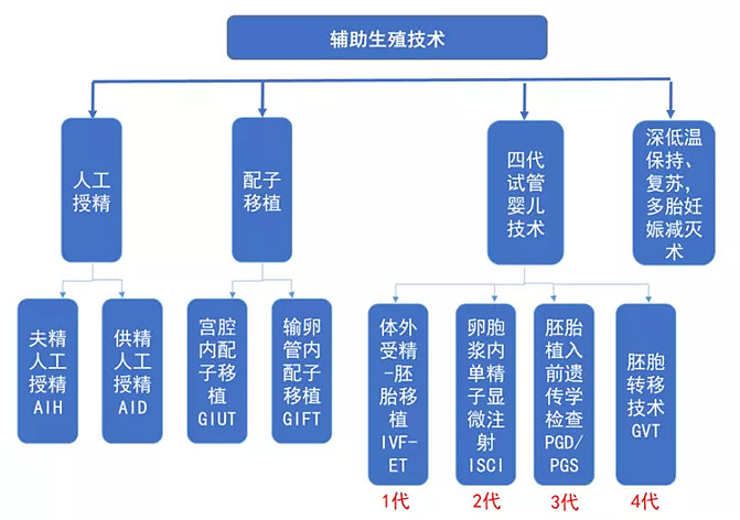 辅助生殖