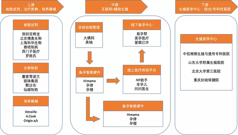 辅助生殖
