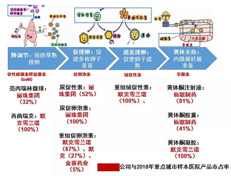 辅助生殖
