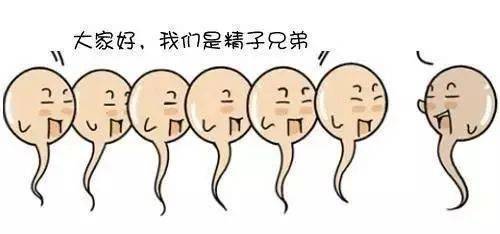 女子生三对双胞胎_怎么生双胞胎_头胎双胞胎能生二胎吗
