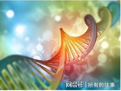辅助生殖_辅助生殖哪个医院便宜_辅助生殖医院哪个便宜