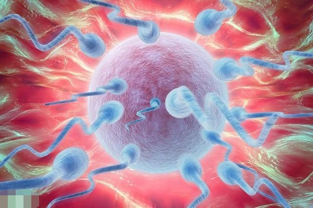 辅助生殖医院哪个便宜_哪个医院做辅助生殖便宜_辅助生殖