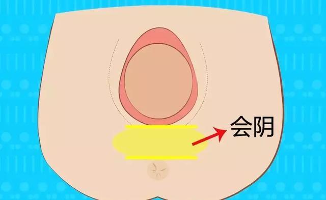 侧切