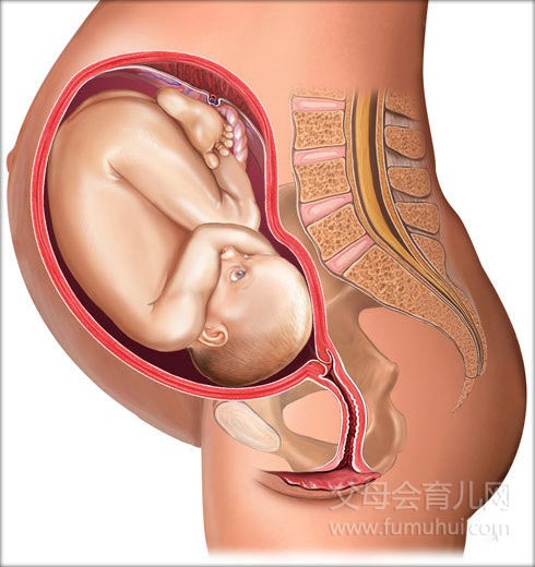 辅助生殖_哪里辅助生殖医院便宜_辅助生殖便宜的医院