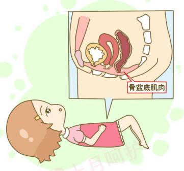 盆底肌康复治疗仪_盆底肌修复_盆底肌康复治疗