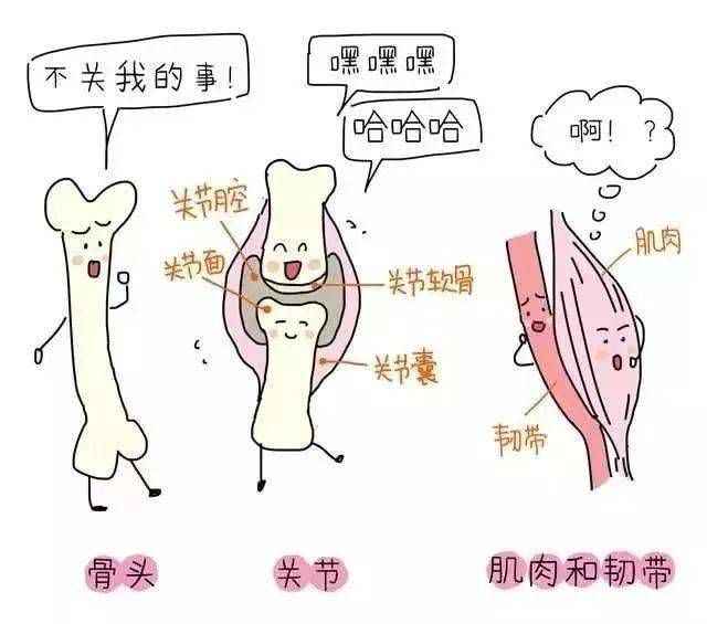 盆底肌修复_盆底肌康复治疗_盆底肌康复治疗仪
