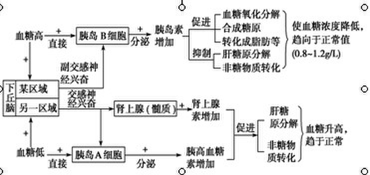 更年期催乳激素高有什么症状_催乳激素_变性人催乳激素