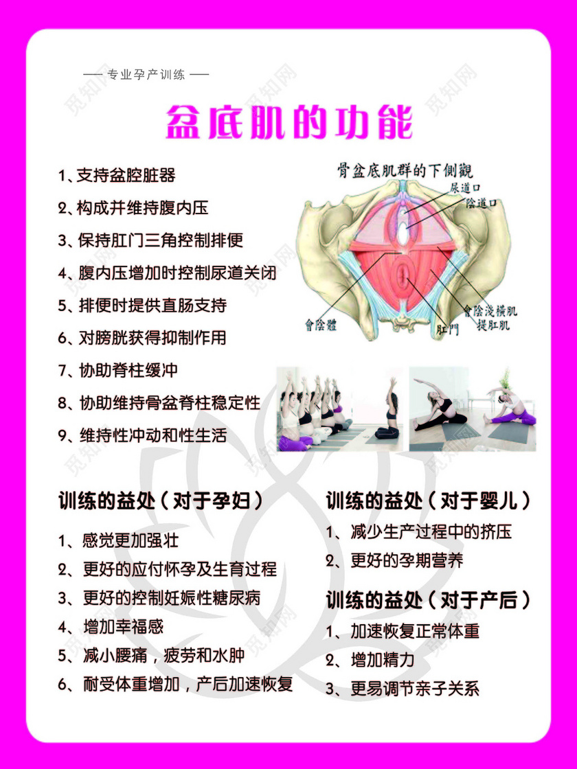 盆底肌松弛怎么办_盆底肌康复有用吗_盆底肌修复