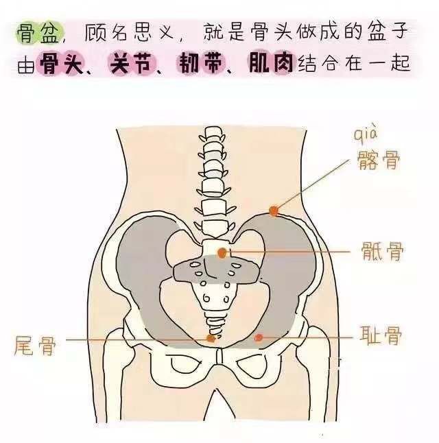 盆底肌修复_产后康复盆底肌_盆底肌康复有用吗