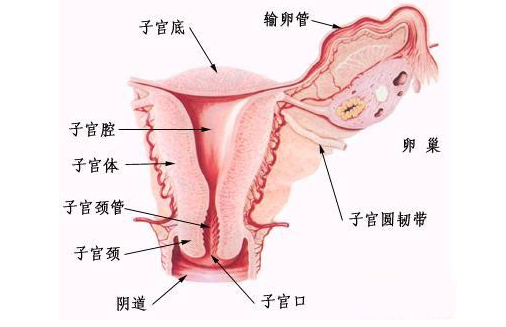 着床降温体温图_着床降温_着床降温什么意思