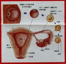 着床降温什么意思_着床降温体温图_着床降温