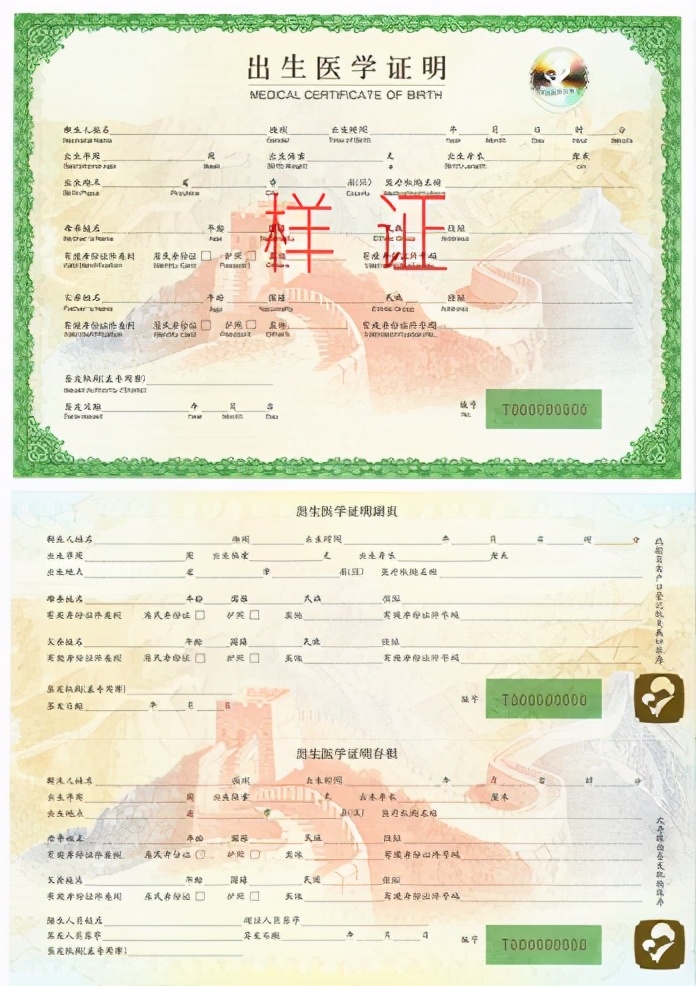 出生证明办理