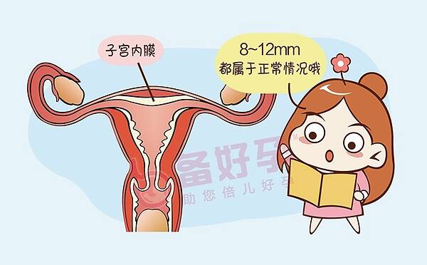 子宫内膜厚度_宫颈内膜厚度多少正常_经期内膜厚度多少正常