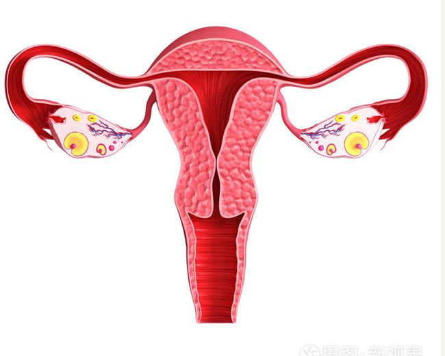 子宫内膜薄_子宫 内膜 息肉_子宫双层内膜厚度3mm