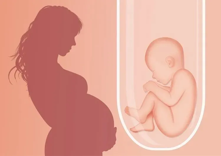 子宫内膜薄_子宫n内膜弥漫型小息肉_子宫双层内膜厚度多少正常