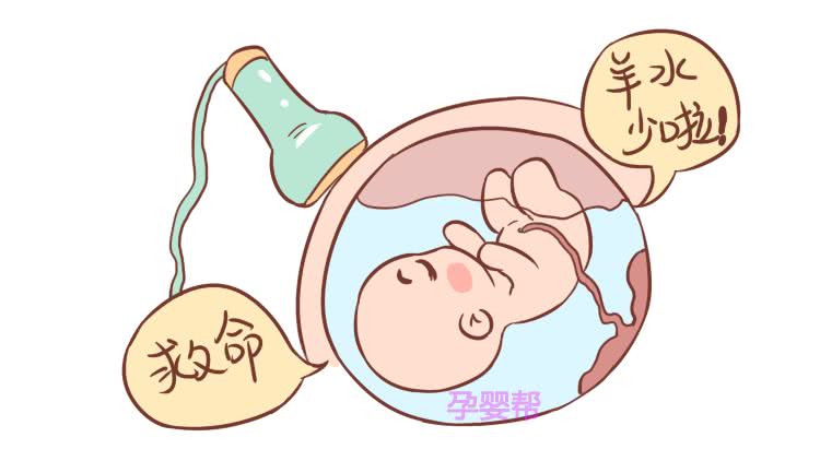 巨大儿_巨大少女踩踏_巨大碎片的真相