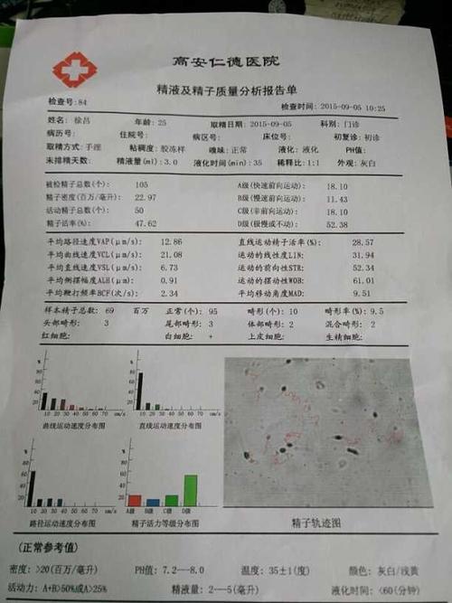少弱精症的治疗_弱精症怎么治疗好_弱精症